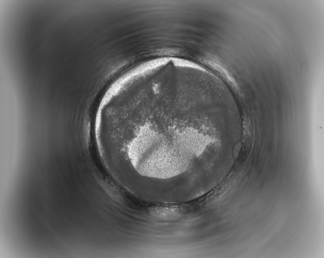 X0000095670110200802051238