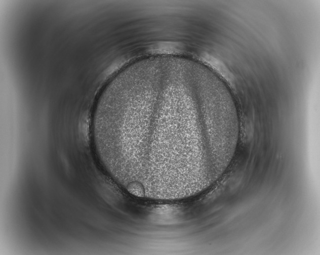 X0000095670111200802051238