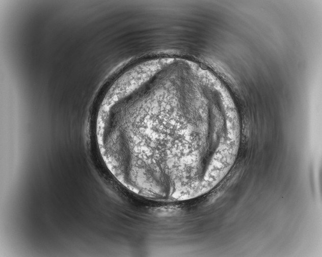 X0000095670112200802051238