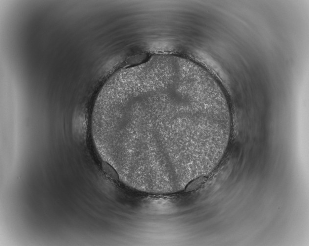 X0000095670113200802051238