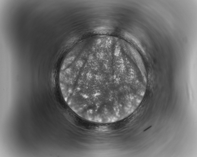 X0000095670114200802051238