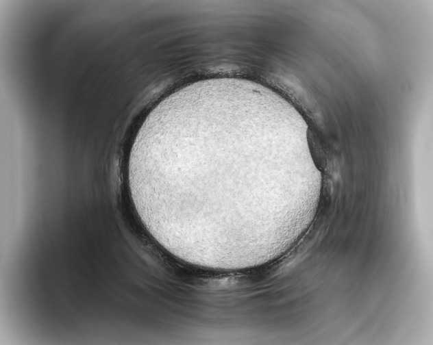 X0000095670116200802051238