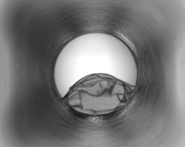 X0000095670117200802051238