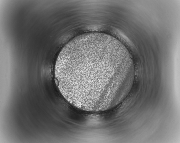 X0000095670119200802051238