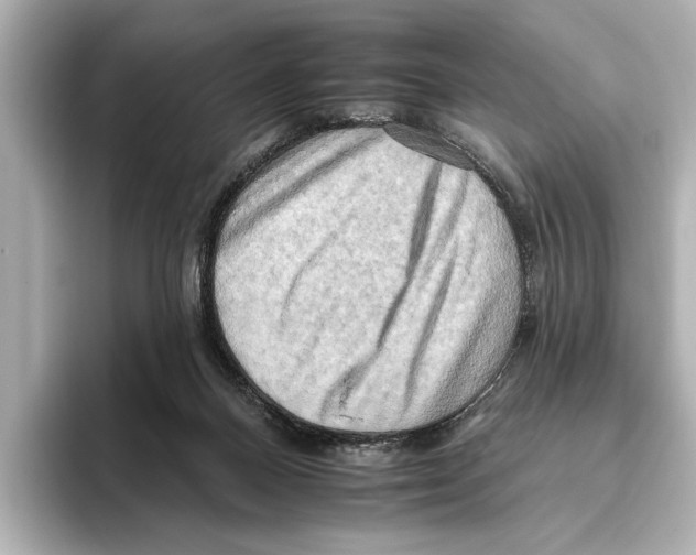 X0000095670120200802051238