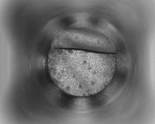 X0000095670123200802051238