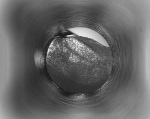 X0000095670124200802051238