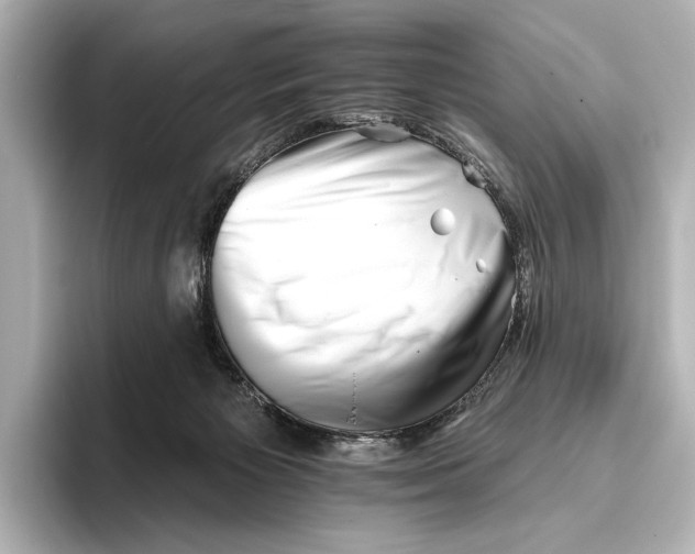 X0000095670125200802051238