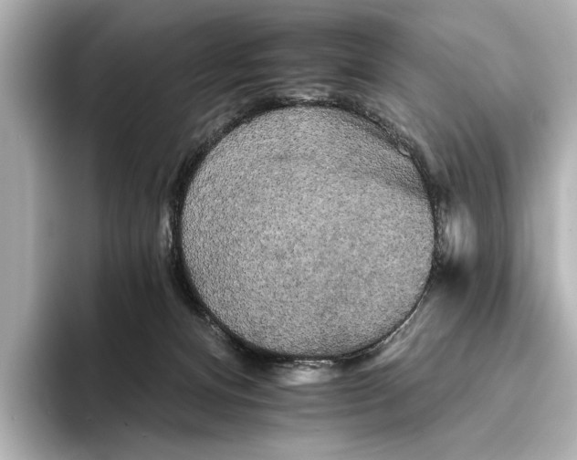 X0000095670128200802051238