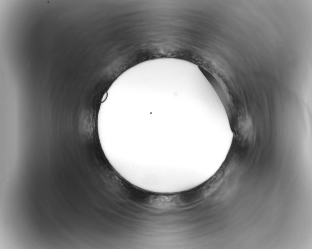 X0000095670129200802051238