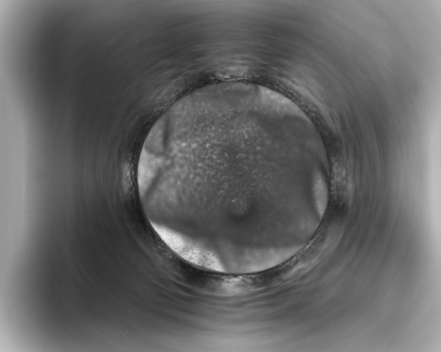 X0000095670130200802051238