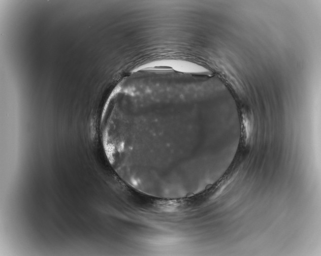 X0000095670131200802051238