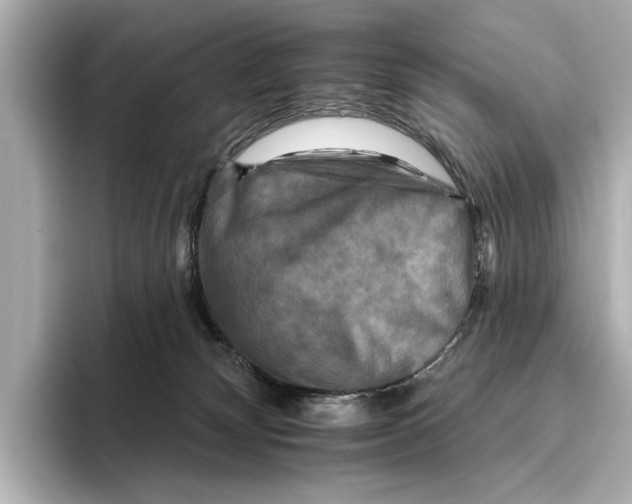 X0000095670132200802051238