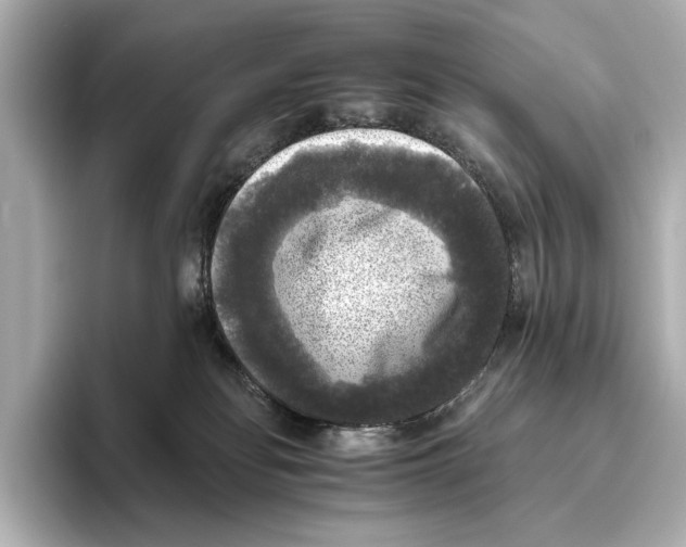 X0000095670134200802051238