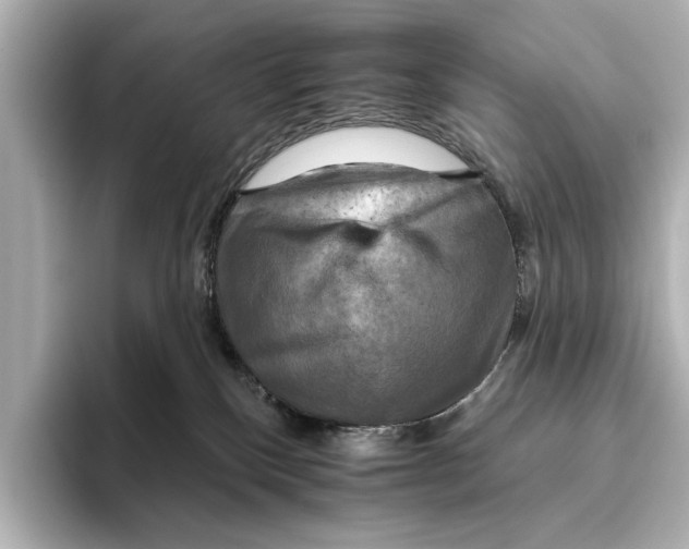 X0000095670136200802051238