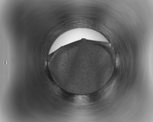 X0000095670137200802051238