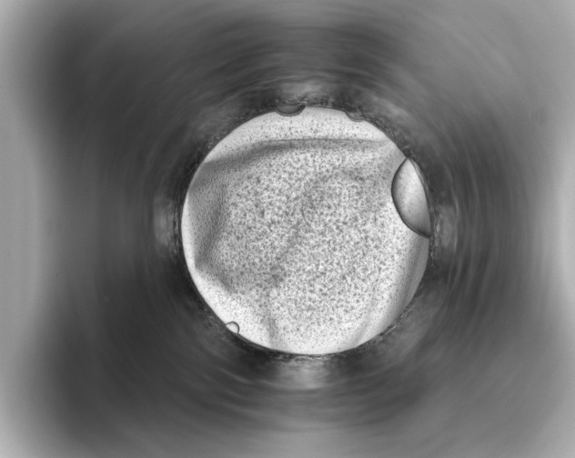 X0000095670138200802051238
