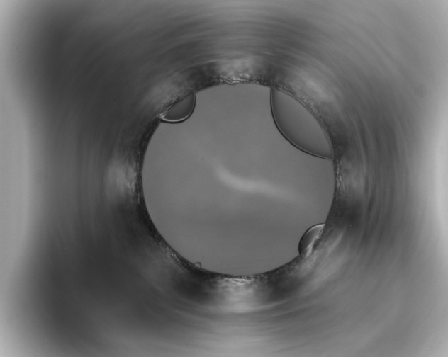 X0000095670139200802051238