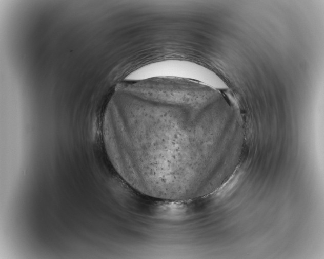 X0000095670140200802051238