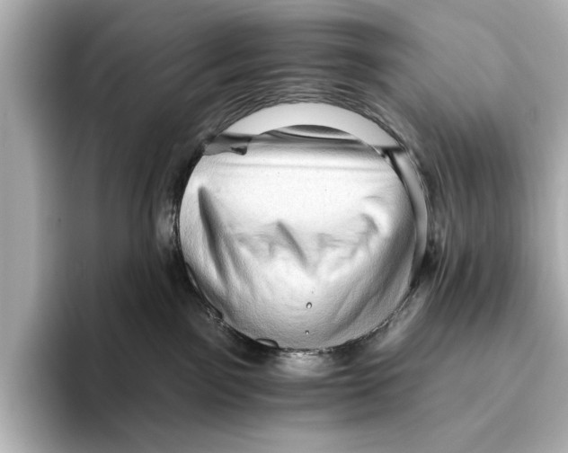 X0000095670141200802051238
