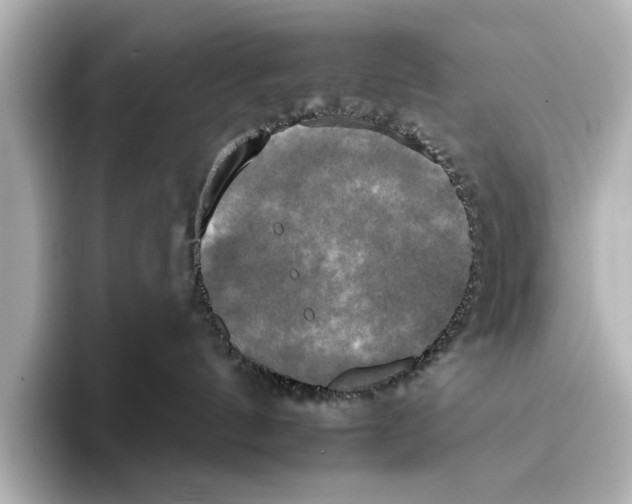 X0000095670144200802051238