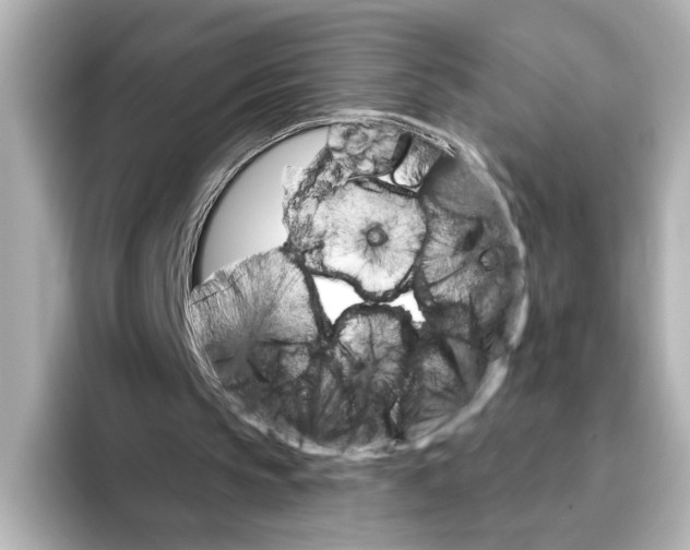 X0000095670145200802051237