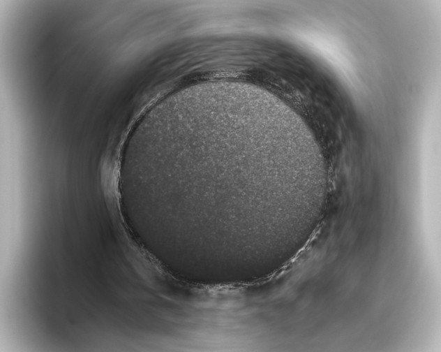 X0000095670146200802051237