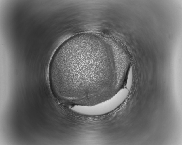 X0000095670148200802051237