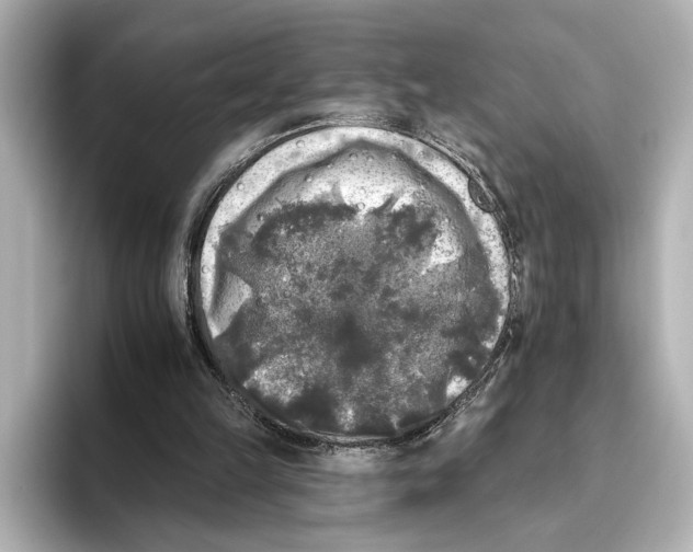 X0000095670149200802051237