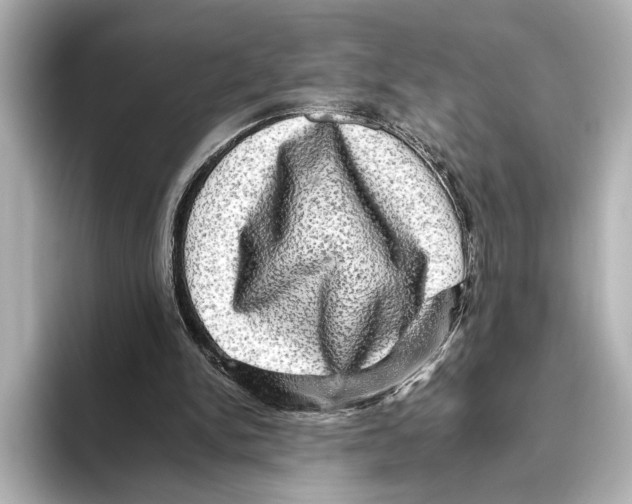 X0000095670150200802051237
