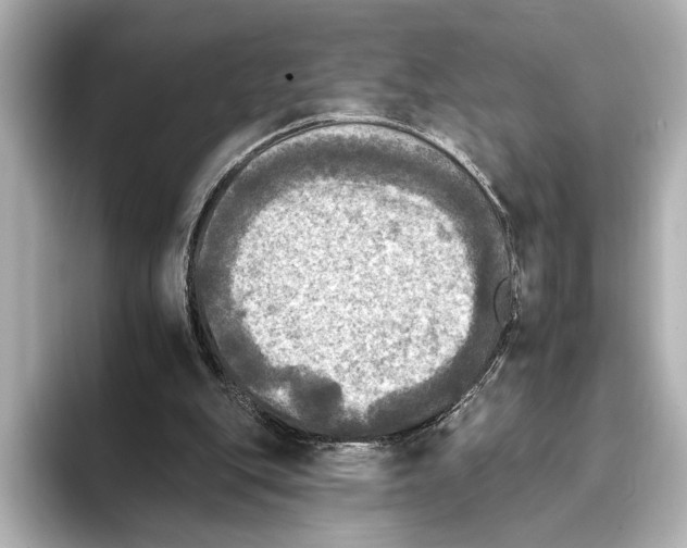 X0000095670151200802051237