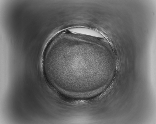 X0000095670152200802051237