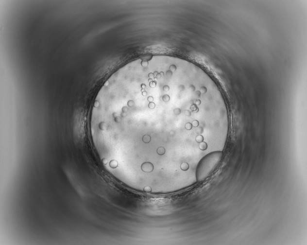 X0000095670153200802051237