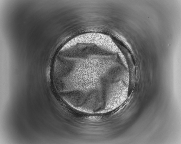 X0000095670154200802051237