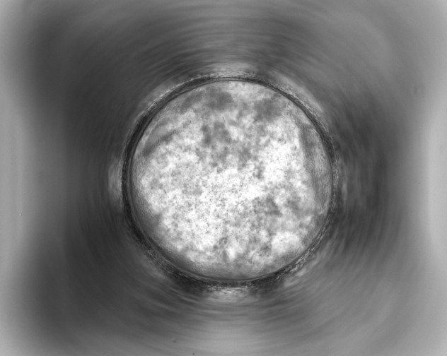 X0000095670155200802051237