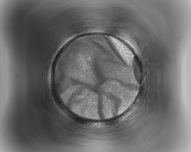 X0000095670156200802051237