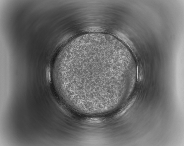X0000095670157200802051237