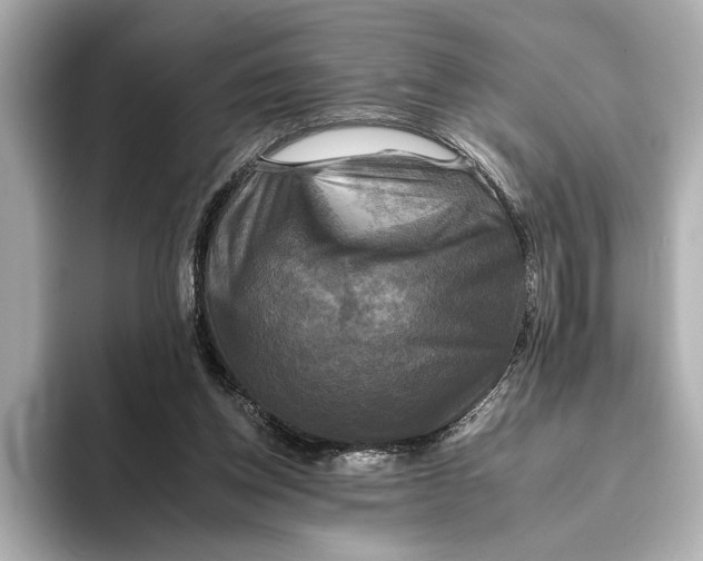 X0000095670158200802051237