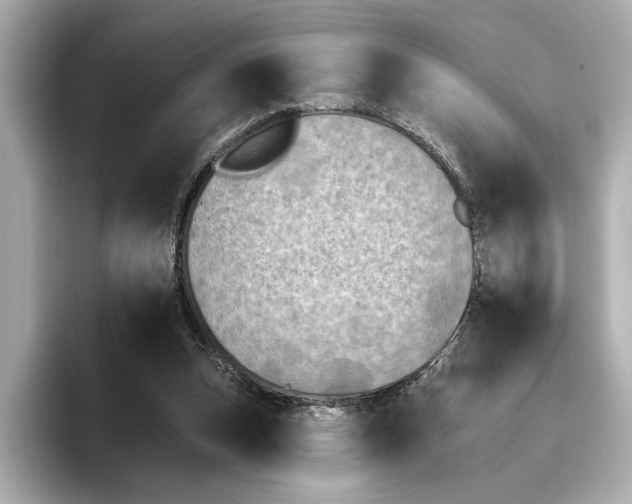 X0000095670159200802051237