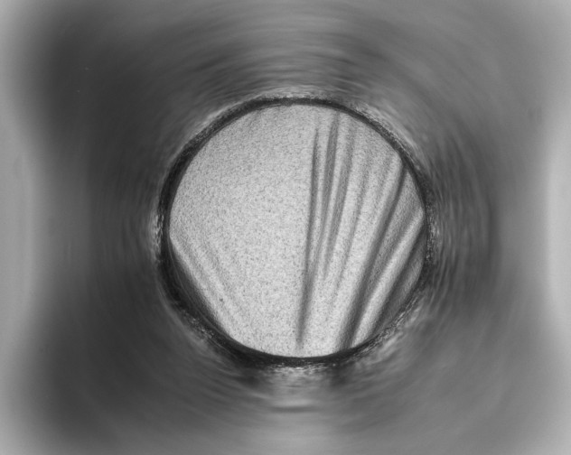 X0000095670160200802051237