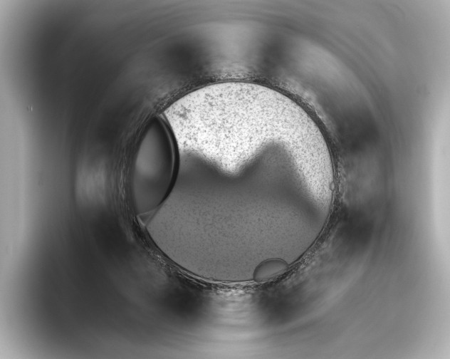X0000095670161200802051237