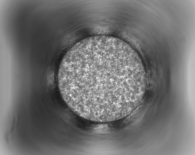 X0000095670162200802051237