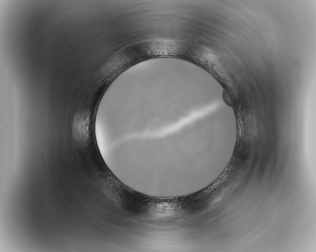X0000095670163200802051238