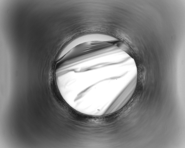 X0000095670164200802051238