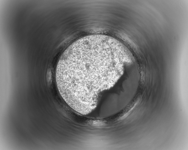 X0000095670165200802051238
