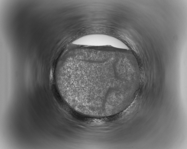 X0000095670166200802051238