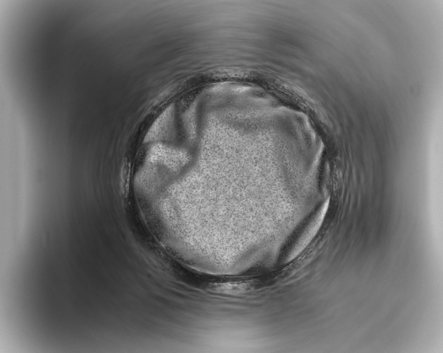 X0000095670168200802051238