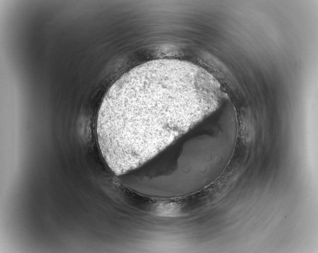 X0000095670169200802051238