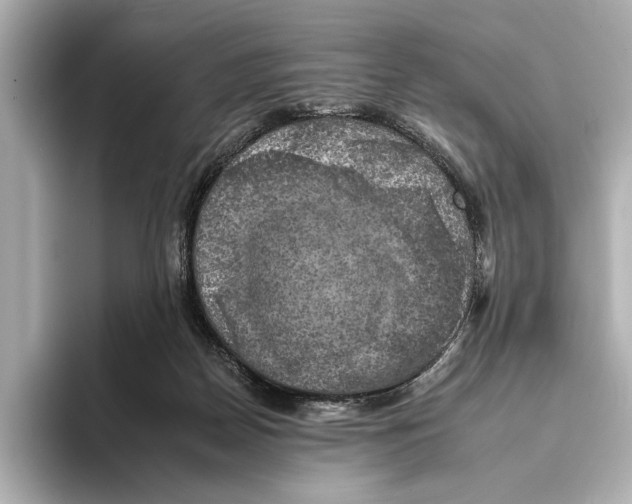 X0000095670170200802051238