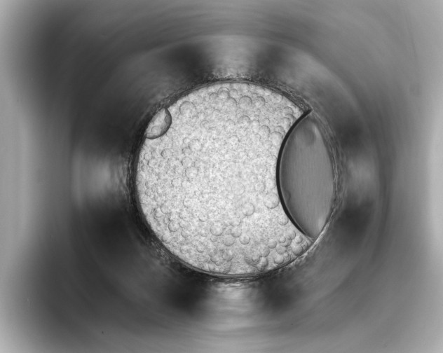 X0000095670171200802051238